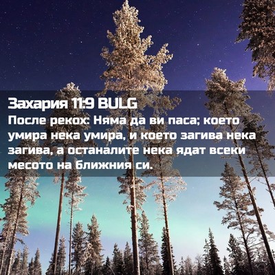Picture 02 - Захария 11:9 BULG - После рекох: Няма да ви - Bible Verse Picture