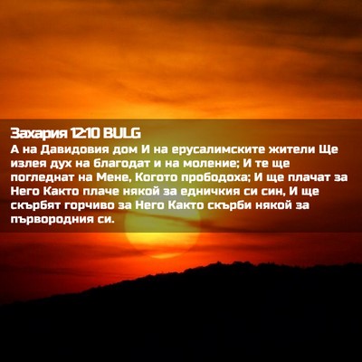 Picture 02 - Захария 12:10 BULG - А на Давидовия дом И на - Bible Verse Picture