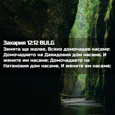 Picture 02 - Захария 12:12 BULG - Земята ще жалее, Всяко - Bible Verse Picture