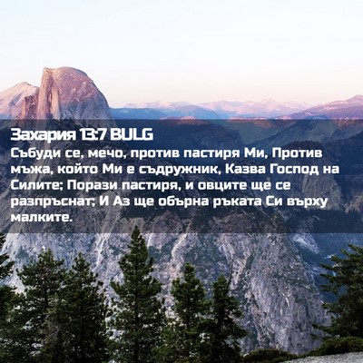 Picture 02 - Захария 13:7 BULG - Събуди се, мечо, против - Bible Verse Picture
