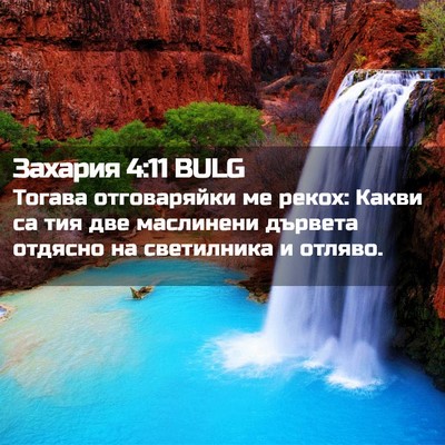 Picture 02 - Захария 4:11 BULG - Тогава отговаряйки ме - Bible Verse Picture