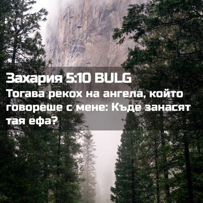 Picture 02 - Захария 5:10 BULG - Тогава рекох на ангела, - Bible Verse Picture