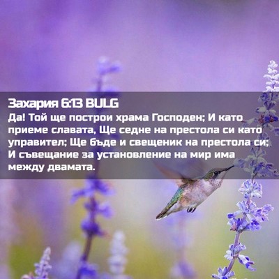 Picture 02 - Захария 6:13 BULG - Да! Той ще построи храма - Bible Verse Picture