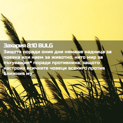 Picture 02 - Захария 8:10 BULG - Защото поради ония дни - Bible Verse Picture