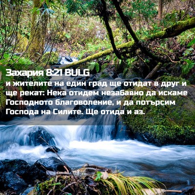Picture 02 - Захария 8:21 BULG - и жителите на един град ще - Bible Verse Picture