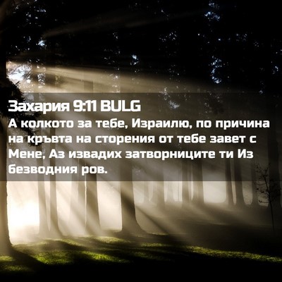 Picture 02 - Захария 9:11 BULG - А колкото за тебе, Израилю, - Bible Verse Picture