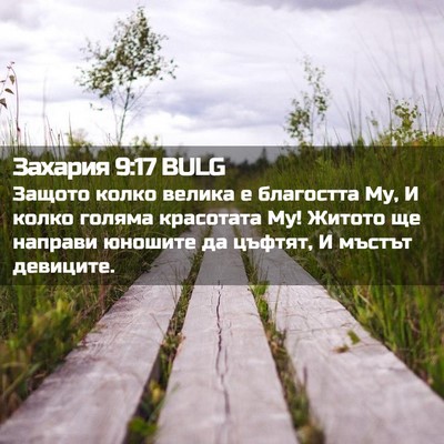 Picture 02 - Захария 9:17 BULG - Защото колко велика е - Bible Verse Picture