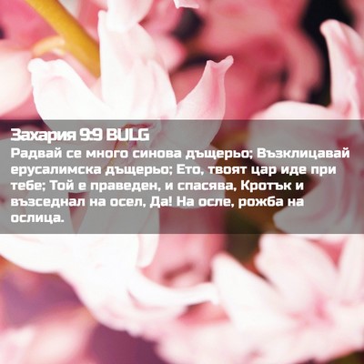 Picture 02 - Захария 9:9 BULG - Радвай се много синова - Bible Verse Picture