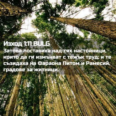 Picture 02 - Изход 1:11 BULG - Затова поставиха над тях - Bible Verse Picture