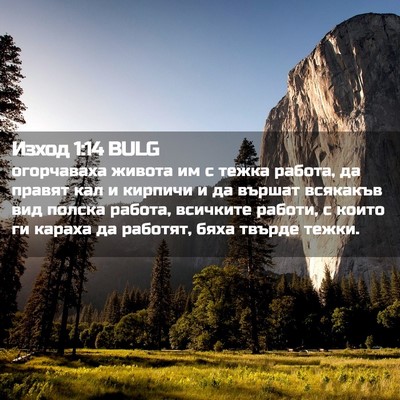 Picture 02 - Изход 1:14 BULG - огорчаваха живота им с - Bible Verse Picture