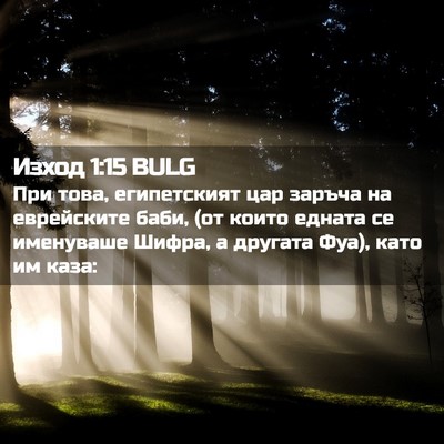 Picture 02 - Изход 1:15 BULG - При това, египетският цар - Bible Verse Picture