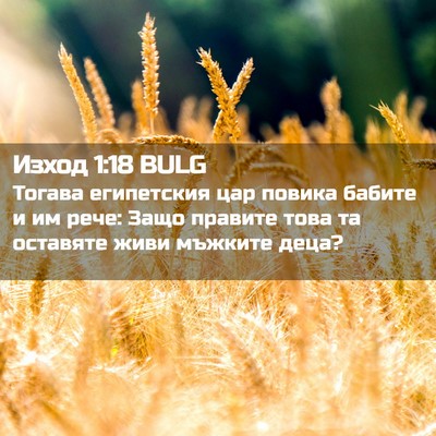 Picture 02 - Изход 1:18 BULG - Тогава египетския цар - Bible Verse Picture