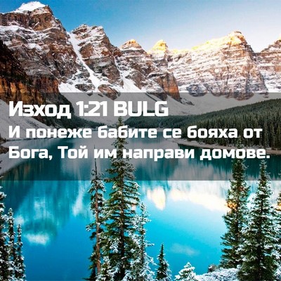 Picture 02 - Изход 1:21 BULG - И понеже бабите се бояха от - Bible Verse Picture