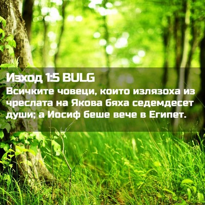Picture 02 - Изход 1:5 BULG - Всичките човеци, които - Bible Verse Picture