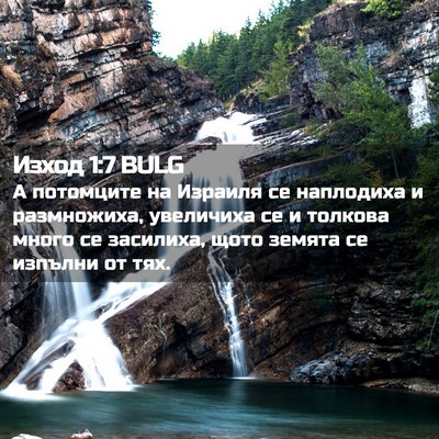 Picture 02 - Изход 1:7 BULG - А потомците на Израиля се - Bible Verse Picture