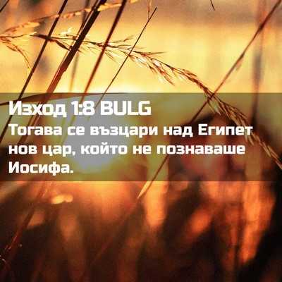 Picture 02 - Изход 1:8 BULG - Тогава се възцари над - Bible Verse Picture
