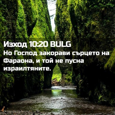 Picture 02 - Изход 10:20 BULG - Но Господ закорави сърцето - Bible Verse Picture