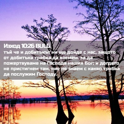 Picture 02 - Изход 10:26 BULG - тъй че и добитъкът ни ще - Bible Verse Picture