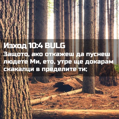 Picture 02 - Изход 10:4 BULG - Защото, ако откажеш да - Bible Verse Picture