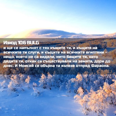Picture 02 - Изход 10:6 BULG - и ще се напълнят с тях - Bible Verse Picture
