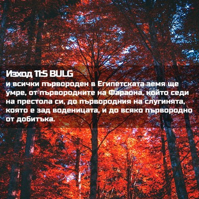 Picture 02 - Изход 11:5 BULG - и всички първороден в - Bible Verse Picture