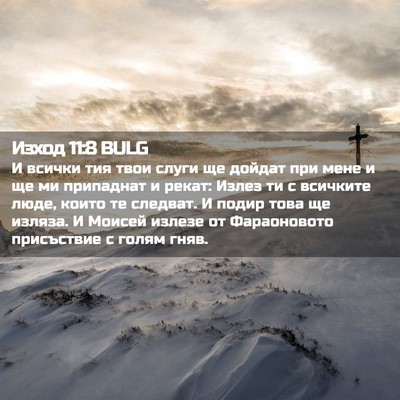 Picture 02 - Изход 11:8 BULG - И всички тия твои слуги ще - Bible Verse Picture
