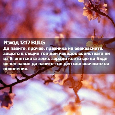 Picture 02 - Изход 12:17 BULG - Да пазите, прочее, празника - Bible Verse Picture