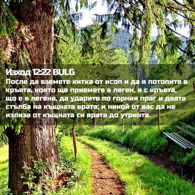 Picture 02 - Изход 12:22 BULG - После да вземете китка от - Bible Verse Picture