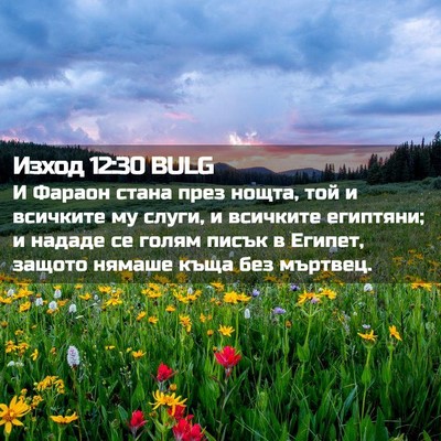 Picture 02 - Изход 12:30 BULG - И Фараон стана през нощта, - Bible Verse Picture