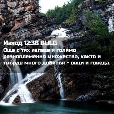 Picture 02 - Изход 12:38 BULG - Още с тях излезе и голямо - Bible Verse Picture