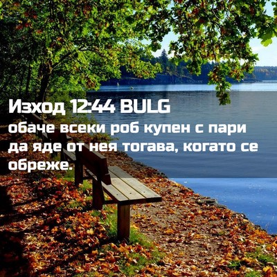 Picture 02 - Изход 12:44 BULG - обаче всеки роб купен с - Bible Verse Picture