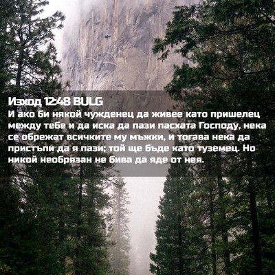 Picture 02 - Изход 12:48 BULG - И ако би някой чужденец да - Bible Verse Picture