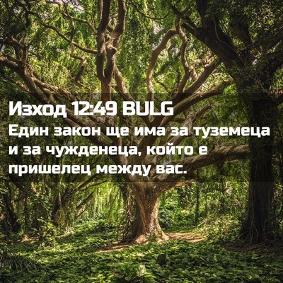 Picture 02 - Изход 12:49 BULG - Един закон ще има за - Bible Verse Picture