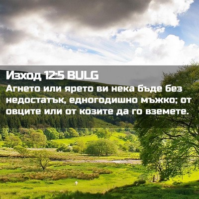 Picture 02 - Изход 12:5 BULG - Агнето или ярето ви нека - Bible Verse Picture
