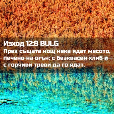 Picture 02 - Изход 12:8 BULG - През същата нощ нека ядат - Bible Verse Picture