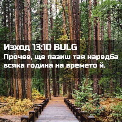 Picture 02 - Изход 13:10 BULG - Прочее, ще пазиш тая - Bible Verse Picture