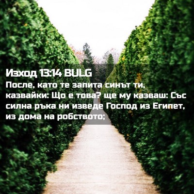 Picture 02 - Изход 13:14 BULG - После, като те запита синът - Bible Verse Picture