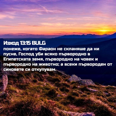 Picture 02 - Изход 13:15 BULG - понеже, когато Фараон не - Bible Verse Picture