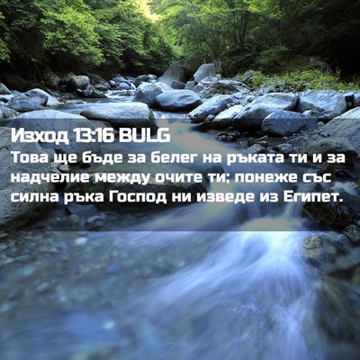 Picture 02 - Изход 13:16 BULG - Това ще бъде за белег на - Bible Verse Picture