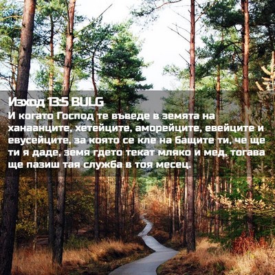 Picture 02 - Изход 13:5 BULG - И когато Господ те въведе в - Bible Verse Picture