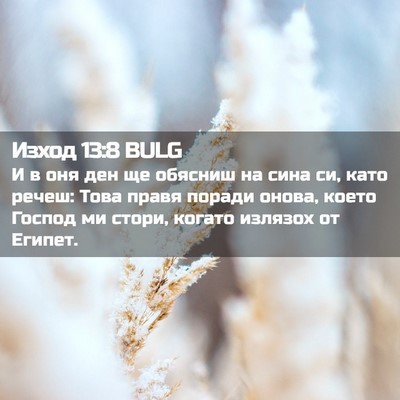 Picture 02 - Изход 13:8 BULG - И в оня ден ще обясниш на - Bible Verse Picture