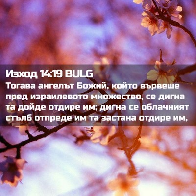 Picture 02 - Изход 14:19 BULG - Тогава ангелът Божий, - Bible Verse Picture