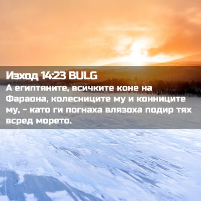 Picture 02 - Изход 14:23 BULG - А египтяните, всичките - Bible Verse Picture
