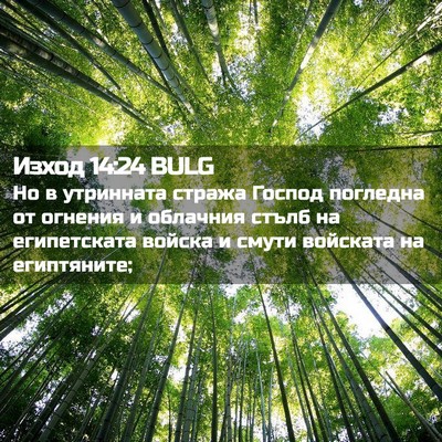 Picture 02 - Изход 14:24 BULG - Но в утринната стража - Bible Verse Picture