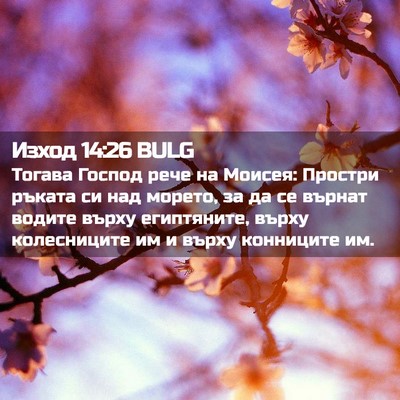 Picture 02 - Изход 14:26 BULG - Тогава Господ рече на - Bible Verse Picture