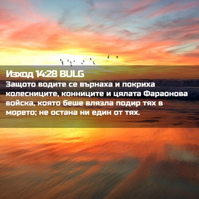 Picture 02 - Изход 14:28 BULG - Защото водите се върнаха и - Bible Verse Picture