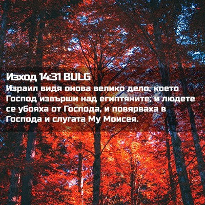 Picture 02 - Изход 14:31 BULG - Израил видя онова велико - Bible Verse Picture