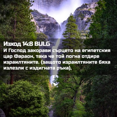 Picture 02 - Изход 14:8 BULG - И Господ закорави сърцето - Bible Verse Picture