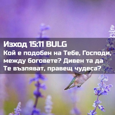 Picture 02 - Изход 15:11 BULG - Кой е подобен на Тебе, - Bible Verse Picture