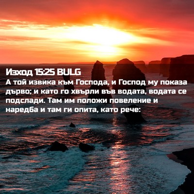 Picture 02 - Изход 15:25 BULG - А той извика към Господа, и - Bible Verse Picture
